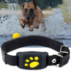 Dog GPS Tracker