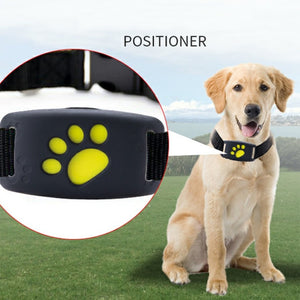 Dog GPS Tracker